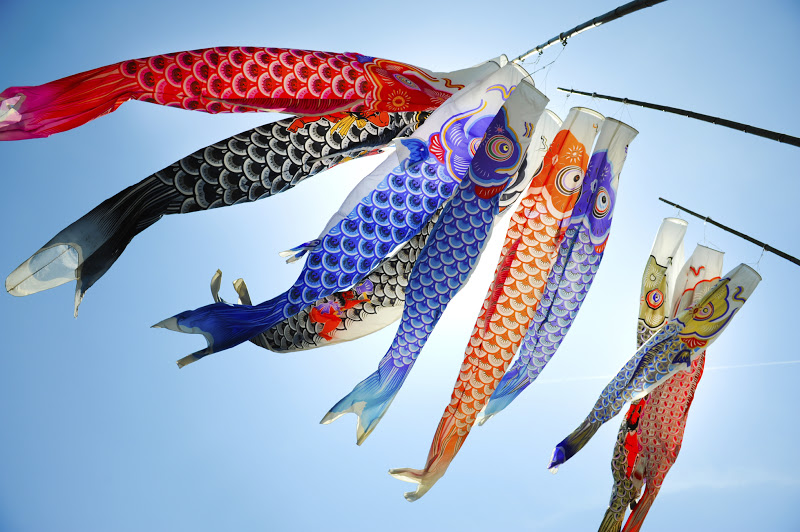 日本兒童節：為什麼兒童節要掛鯉魚旗？